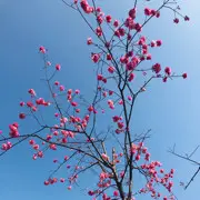 小少爷💜💜