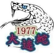 大连蛇。