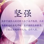 ☞清风①聚☜