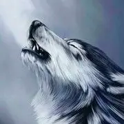 人累心更累-无悔