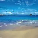 恒恒ji