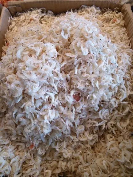 红豆大哥哥的主播照片