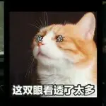 ❤一切随缘❤