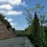(●鳕—儿●)