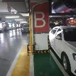 小笼包是我啃园的