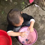 导演纸放哪了？