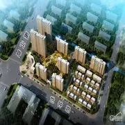 随缘月儿