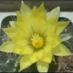 我👊我