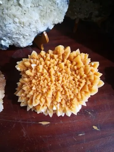 ~四海为家~x的主播照片
