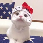 大雅～
