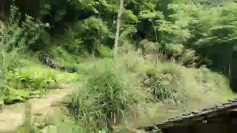 人去屋空的老房子