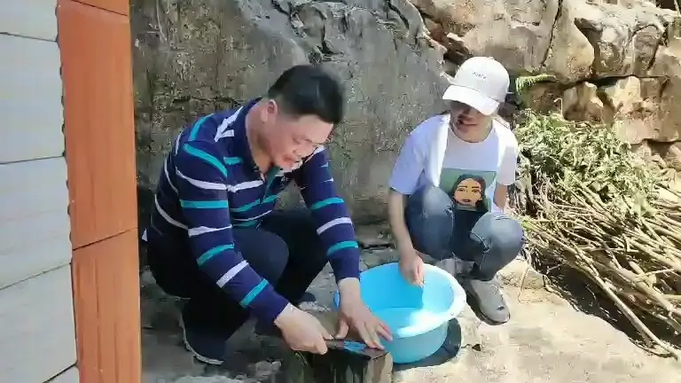 姐夫来到桃家湾