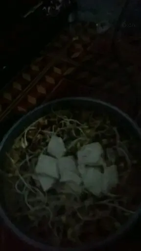 吃火锅了