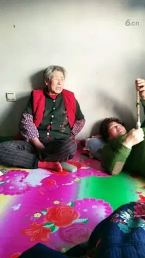 我们在讨论煤怎么来的。