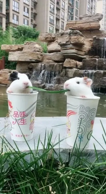 就亲一下呗，咋成这样了