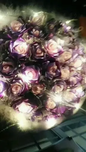 紫色渐变玫瑰。彩灯羽毛款