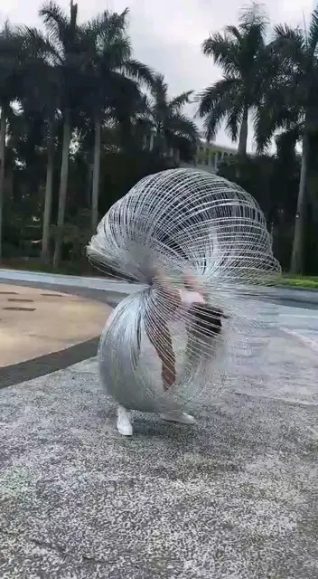 美女腰真有劲