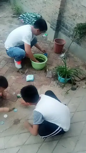 我哥和我大侄还有花树