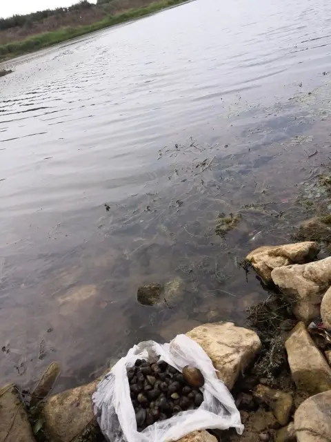 悄悄～的图片