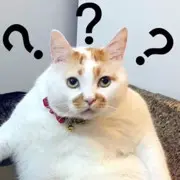 gmgmk