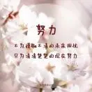 Fengjf3