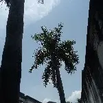 一言不合就守护