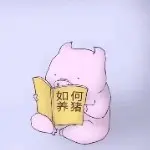 尼古拉斯乔碧猪