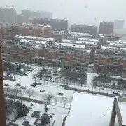二棒槌9701
