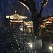 夜美如画