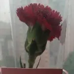 闲逛老头无聊看美M