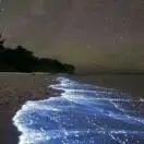 夜来买醉
