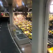 等你回头🐷