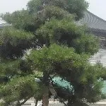 看看😎不刷币