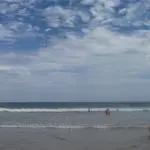 书声琴韵高山流水