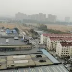 你好扎，好无耻