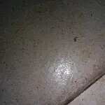 此号已封号中禁止使用
