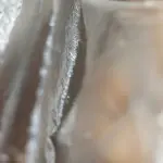 ～到处乱跑～