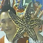 千城~丢丢