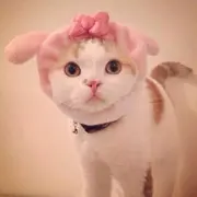 女孩👧🏻