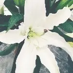 莎莎努力ing