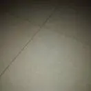 一生无悔694