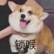 奥利给给