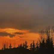 初次遇她