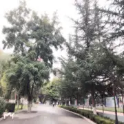 ♥啦啦爱……
