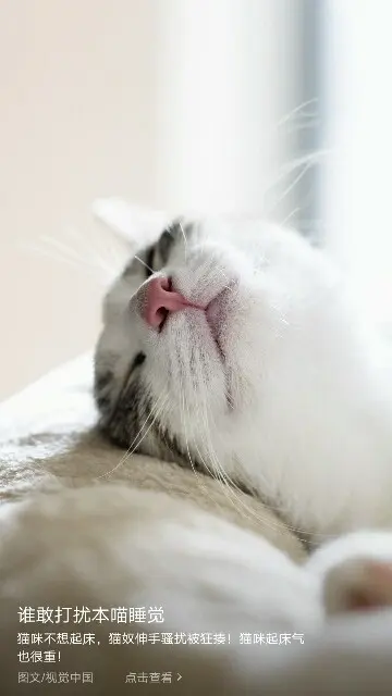 梦💞洁的主播照片