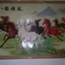 李老头v5
