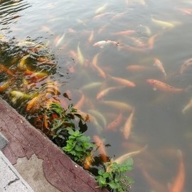 (㝊怘）主播照片