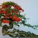 名师在线