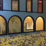 沐沐来了