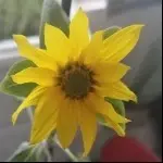 一一最佑一一